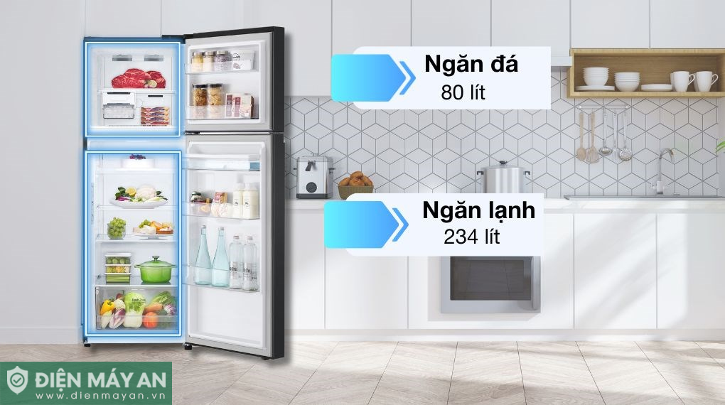 Tủ lạnh LG Inverter 314 lít LTD31BLM